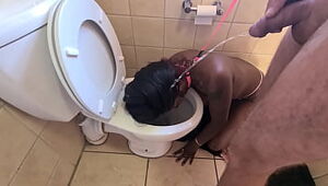 Desi bi-atch gets ambled like a dog to the rest room to get her face peed on and deep-throats man meat